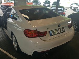 Bild von Nikos Wolters (3)